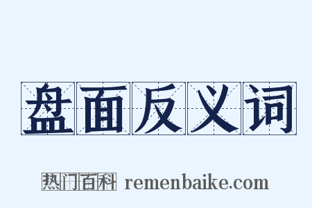 盘面反义词是什么意思的图片